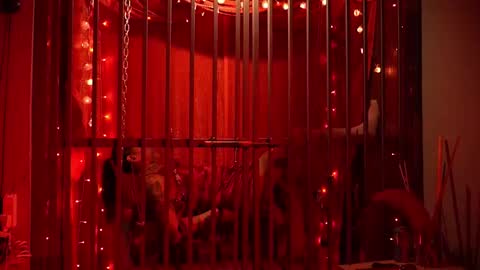 D Devours Kitty online show from February 15, 2026, 5:37 am