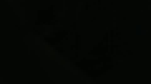 ddog1993 online show from April 22, 2026, 9:55 am