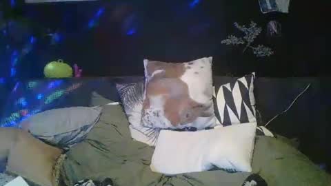 Snapshot of deebo1987 chatting on December 27, 2024, 2:58 am Deen online show from December 27, 2024, 2:58 am