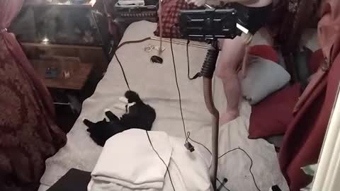 nik and cherry online show from January 4, 2025, 4:44 am