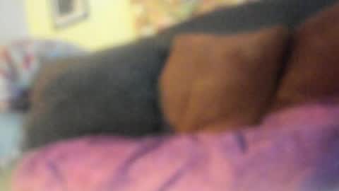 Deez Nutz online show from May 22, 2026, 2:19 am