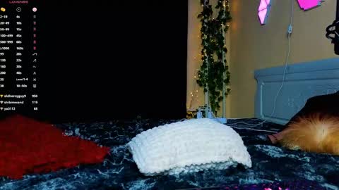 Snapshot of demmi_foxy chatting on February 15, 2025, 12:48 am Demmi online show from February 15, 2025, 12:48 am