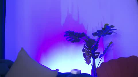 denisedevilles online show from May 10, 2026, 8:47 pm