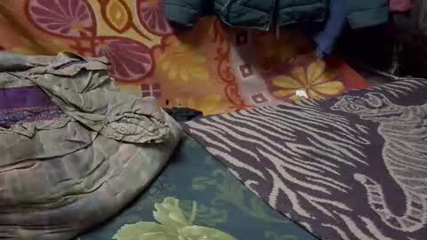 desi_boy799417 online show from January 17, 2026, 6:51 am