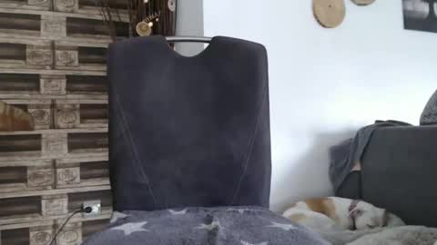 Snapshot of despotar123 chatting on October 7, 2025, 11:18 am despotar123 online show from October 7, 2025, 11:18 am