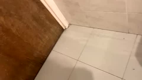 destrosandotelculo online show from November 9, 2025, 8:45 am