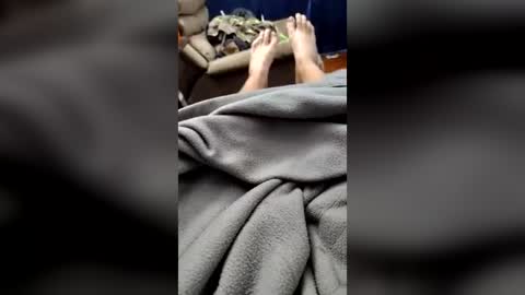 Snapshot of dhorne8833 chatting on July 19, 2026, 6:44 pm dhorne8833 online show from July 19, 2026, 6:44 pm