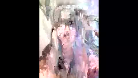 diana0108 online show from November 29, 2025, 11:57 am