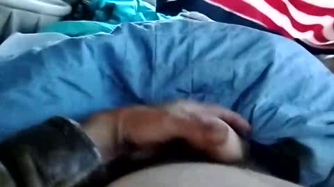 Dickbowen online show from November 1, 2025, 1:57 pm