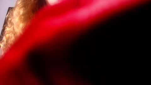 Diane online show from February 26, 2025, 7:16 pm