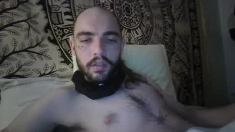 Snapshot of didismurf02 chatting on December 16, 2024, 12:04 am didismurf02 online show from December 16, 2024, 12:04 am