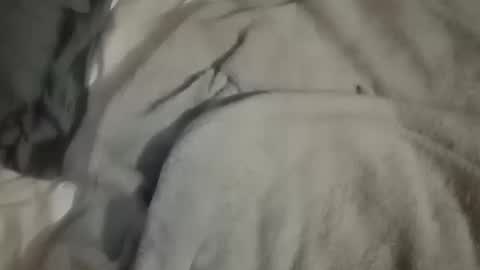 Snapshot of dig_bick_38 chatting on October 10, 2025, 4:44 am Daddy online show from October 10, 2025, 4:44 am