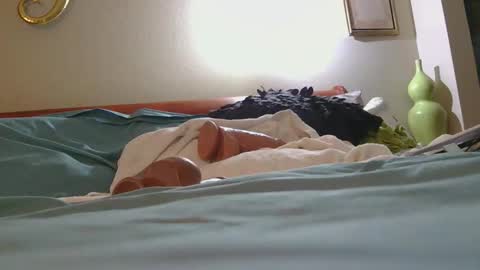 dildosnme22 online show from February 10, 2026, 2:48 am