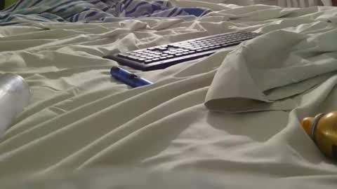 dildosnme22 online show from June 5, 2026, 9:15 am