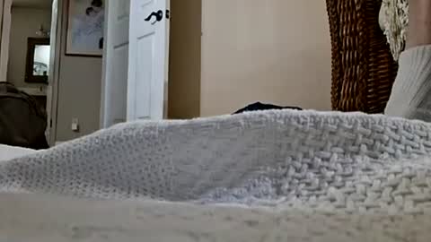 dildosnme22 online show from August 1, 2026, 10:52 pm