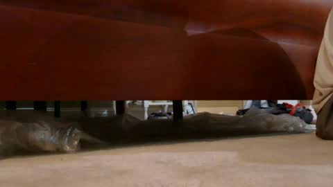 dildosnme22 online show from August 3, 2026, 7:29 am
