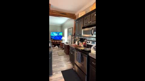 DILIS online show from June 8, 2026, 10:32 pm