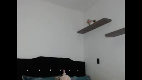 diluka alisson online show from January 9, 2026, 7:11 am