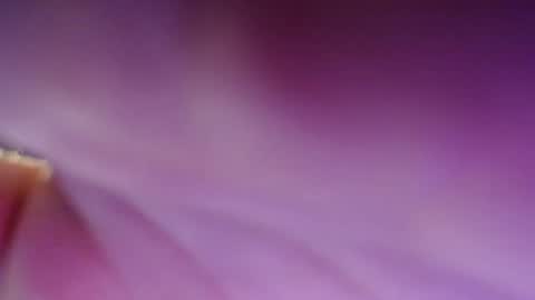 Dirty Kiss69 online show from February 17, 2025, 11:31 pm