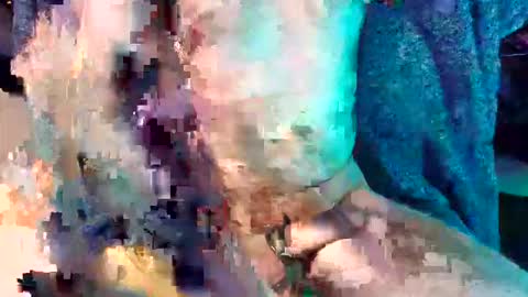 divinemindsalign online show from April 2, 2026, 12:52 am