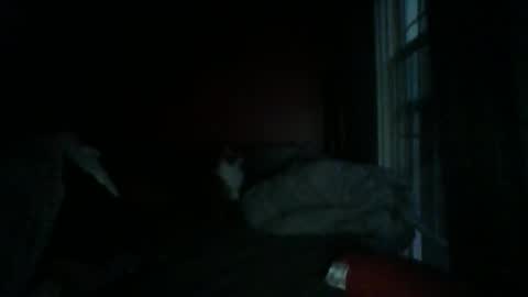 Snapshot of dixhexus chatting on January 4, 2025, 12:27 pm Chris Williams online show from January 4, 2025, 12:27 pm