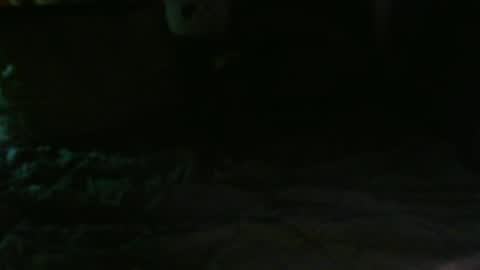 Snapshot of dixhexus chatting on February 14, 2025, 2:50 am Chris Williams online show from February 14, 2025, 2:50 am