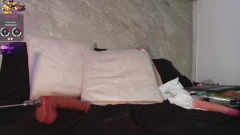Snapshot of dixie_grey1 chatting on July 4, 2026, 3:51 pm Sofia online show from July 4, 2026, 3:51 pm