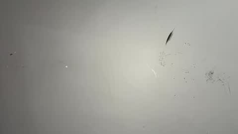 dixkzilla online show from February 20, 2026, 2:52 am