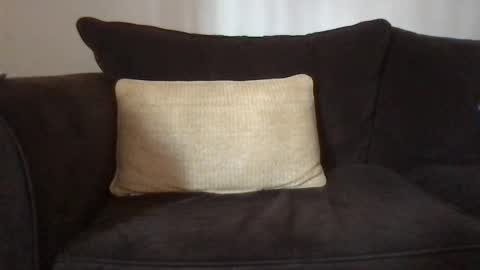 Snapshot of dizzydig chatting on January 25, 2025, 5:08 pm Dizzydig online show from January 25, 2025, 5:08 pm