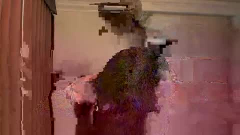 GIJO online show from March 15, 2026, 5:24 am