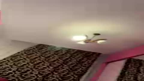 Snapshot of dollpetal chatting on July 21, 2026, 6:43 pm dollpetal online show from July 21, 2026, 6:43 pm