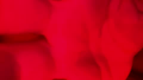 Snapshot of domingodelluvia chatting on November 17, 2025, 2:06 am Alzest online show from November 17, 2025, 2:06 am