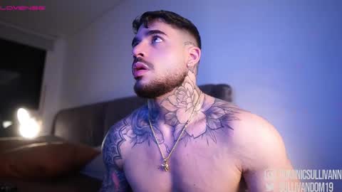 Dominic Sullivan online show from November 23, 2025, 1:49 am