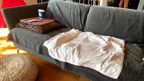 Alfredo online show from November 13, 2025, 10:58 am