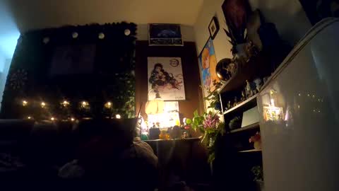 Snapshot of donkellz chatting on October 2, 2025, 8:32 am Sapphire Fox online show from October 2, 2025, 8:32 am