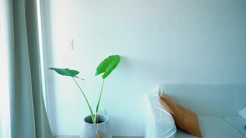 Donatella online show from March 26, 2026, 11:27 am