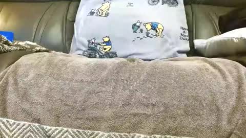 Snapshot of doorguy6954 chatting on November 14, 2025, 3:16 am LuvmycockTS69 online show from November 14, 2025, 3:16 am