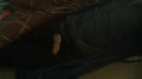 Snapshot of dorsetbiker714 chatting on February 11, 2025, 10:04 am Hello welcome to Slutsville I am the Naked Chef really but you may call me Peter online show from February 11, 2025, 10:04 am