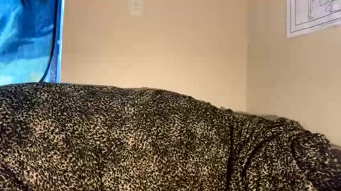 dove_love22 online show from November 30, 2025, 9:19 pm