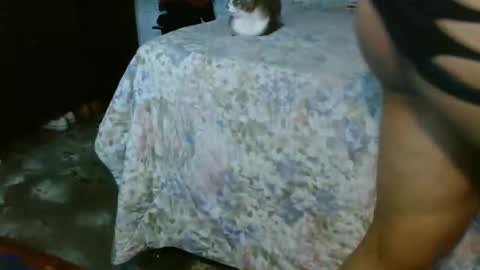 dreamreal online show from October 31, 2025, 2:07 pm