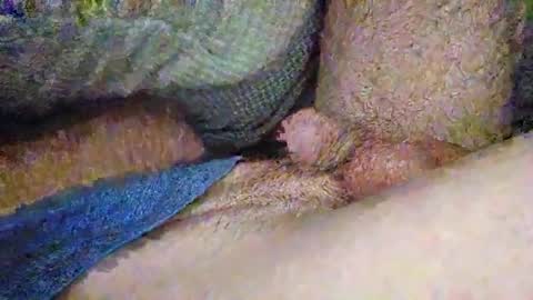 drew8649890274 online show from November 3, 2025, 3:41 am