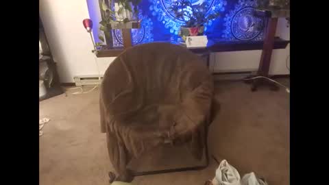 Snapshot of dribblez420 chatting on October 26, 2025, 3:12 am dribblez420 online show from October 26, 2025, 3:12 am