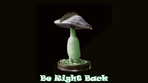 Tara  Sonny online show from April 4, 2026, 5:27 am