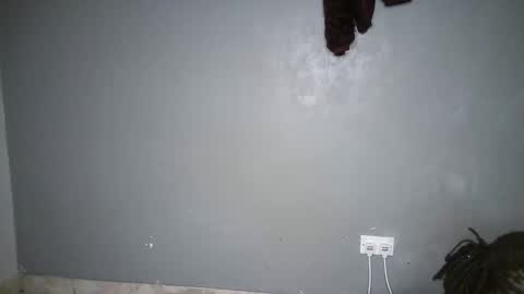 drip_swt online show from November 6, 2025, 9:43 am