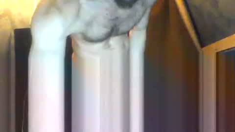 drippydickboy online show from February 5, 2026, 9:19 pm