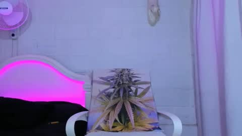 drippyorlove online show from November 5, 2025, 8:31 pm