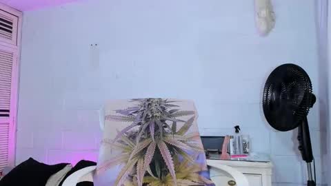 drippyorlove online show from April 2, 2026, 8:28 pm