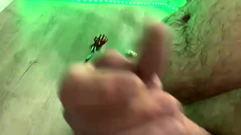 droppingloads82 online show from January 1, 2025, 5:43 am