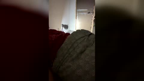 drzinedaj online show from March 8, 2026, 2:59 am