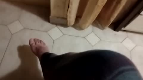 dthedog12 online show from November 3, 2025, 3:08 am